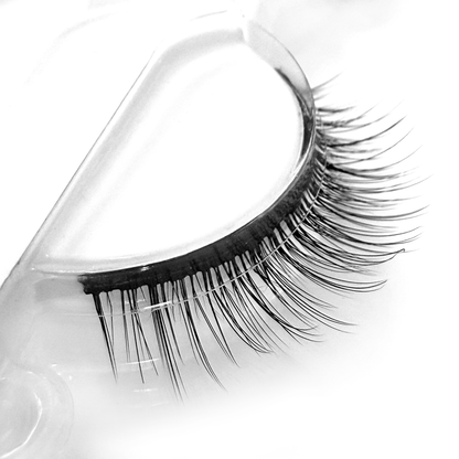Fusion Lashes