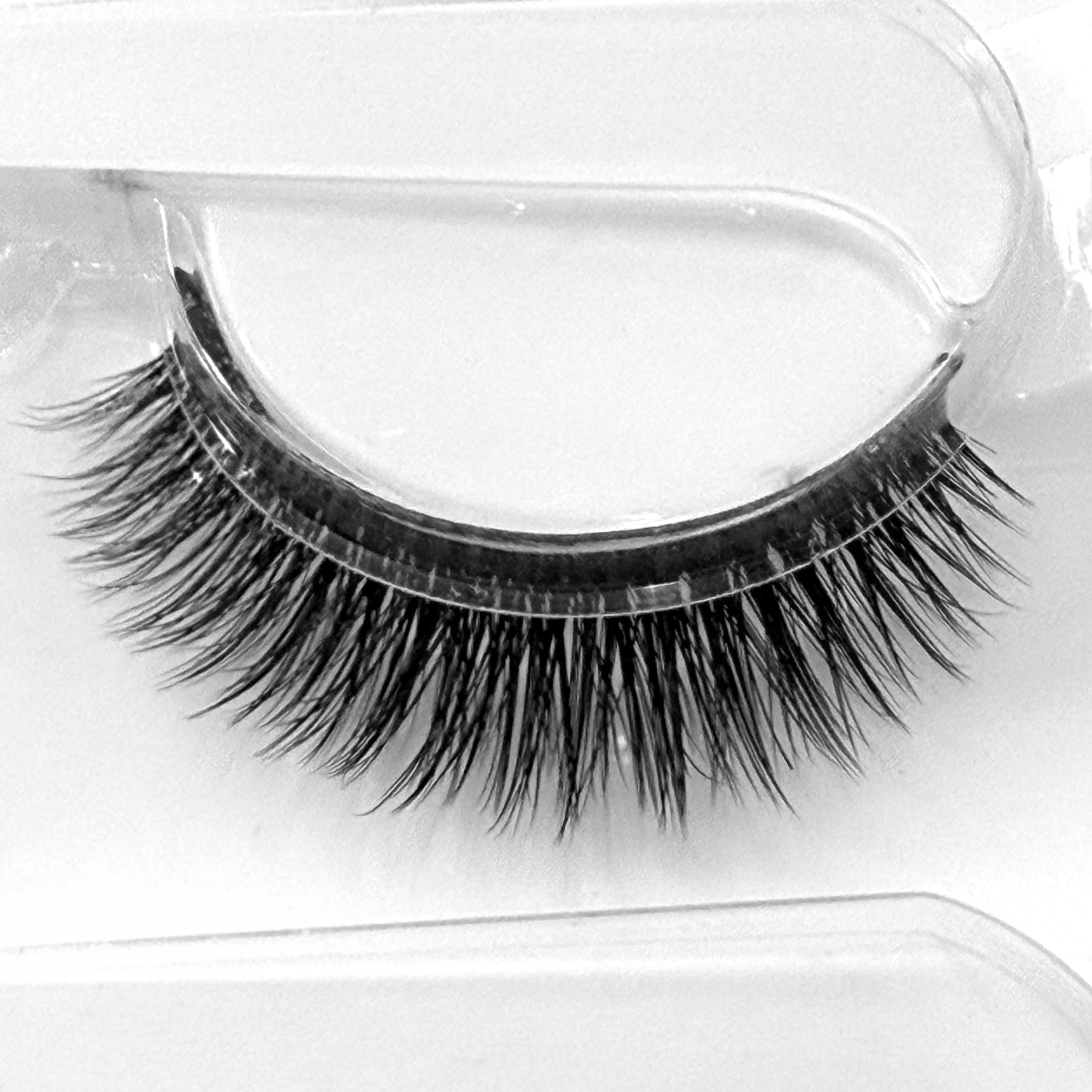 Fusion Lashes