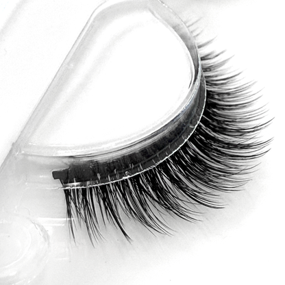 Fusion Lashes