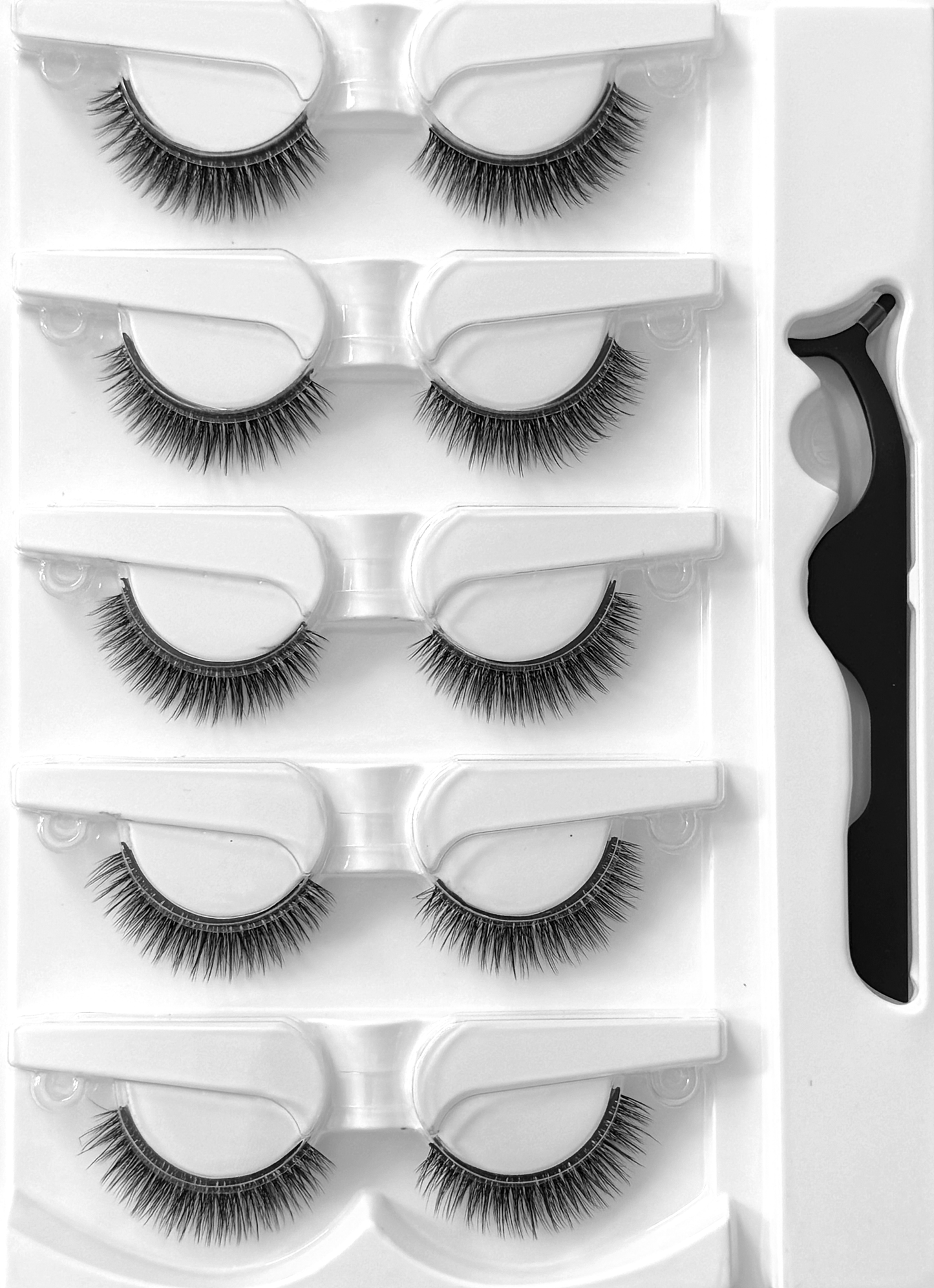 Fusion Lashes